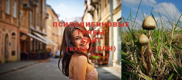 мескалин Абинск