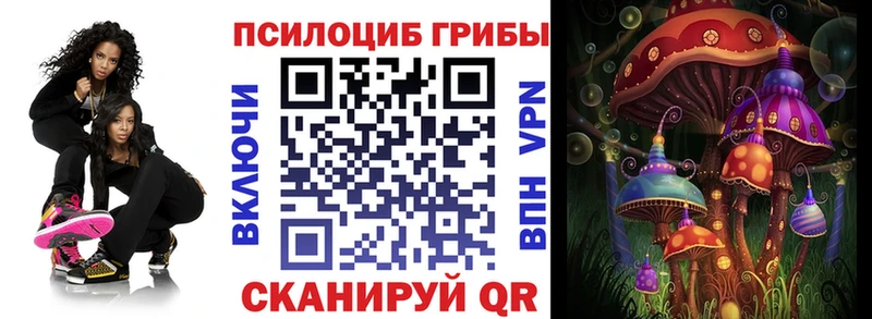 купить наркотик  Котельнич  Галлюциногенные грибы MAGIC MUSHROOMS 